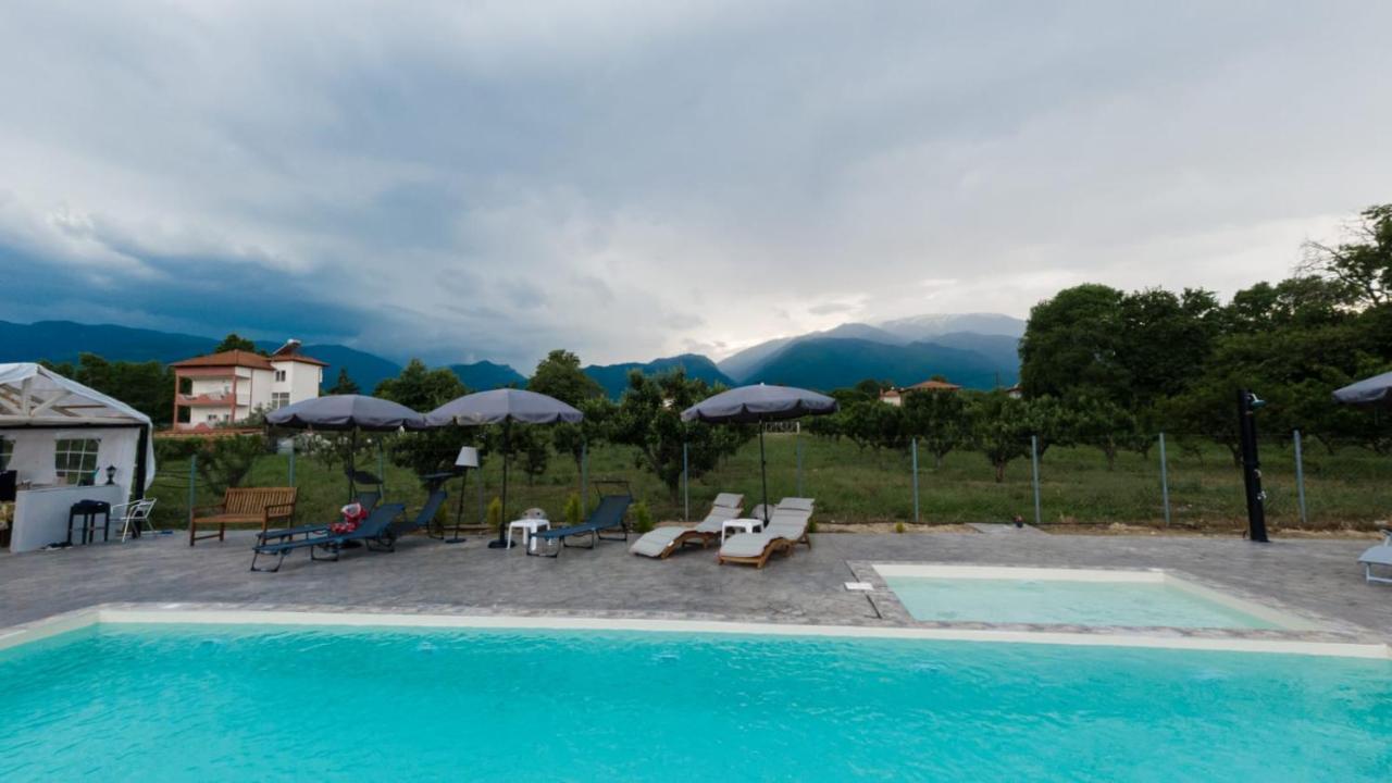 ntinasvillage Leptokarya  Esterno foto